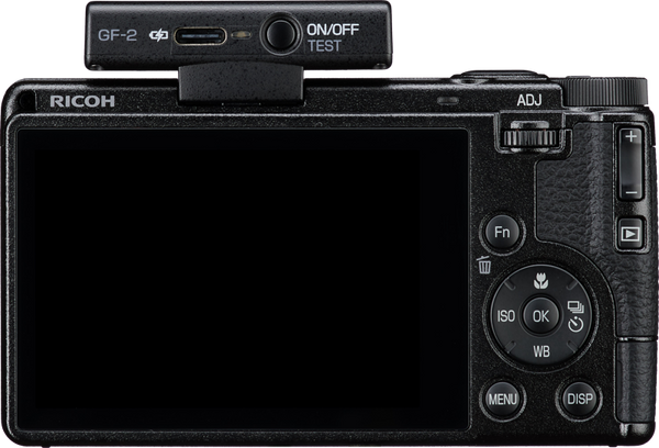 Ricoh Flash GF-2 WW