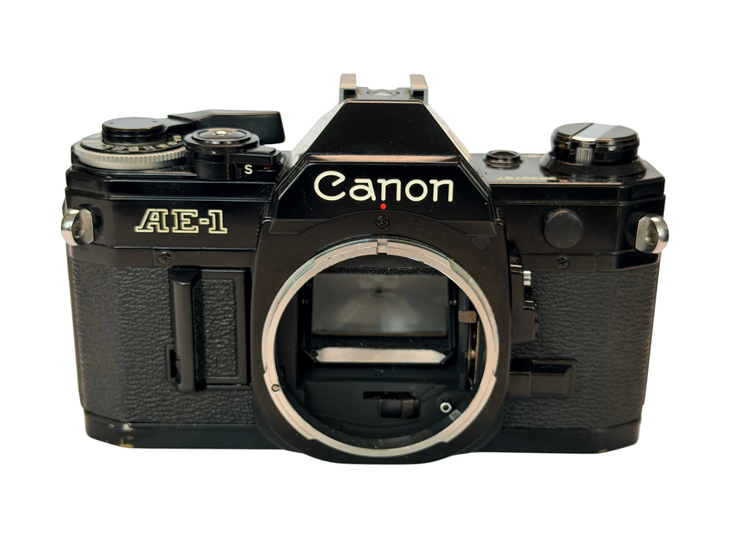 Canon AE-1 - new light seals July 2026