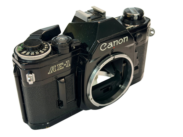 Canon AE-1 - new light seals July 2026