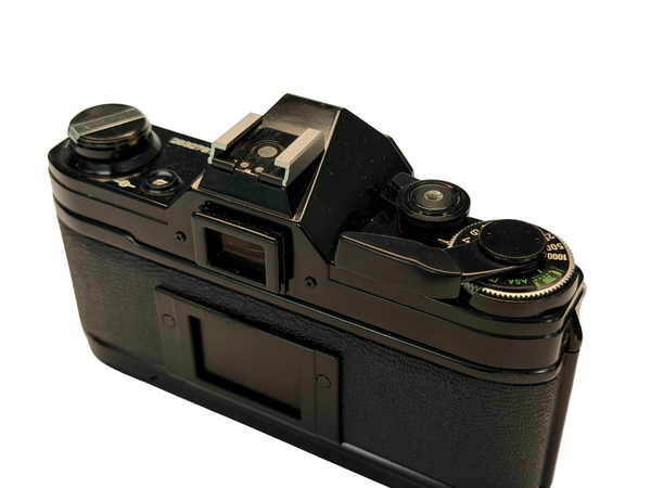 Canon AE-1 - new light seals July 2026
