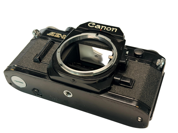 Canon AE-1 - new light seals July 2026
