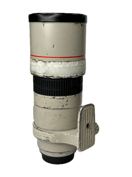 Canon EF 300mm f4 L IS Ultrasonic