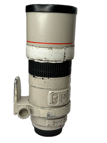 Canon EF 300mm f4 L IS Ultrasonic