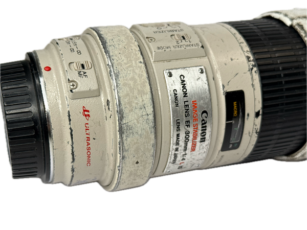 Canon EF 300mm f4 L IS Ultrasonic
