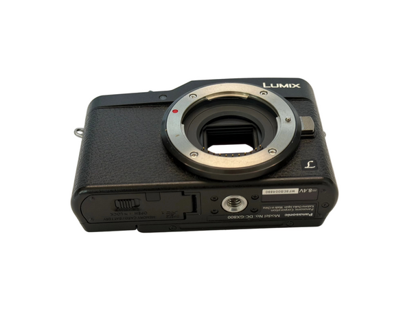 Panasonic Lumx GX800