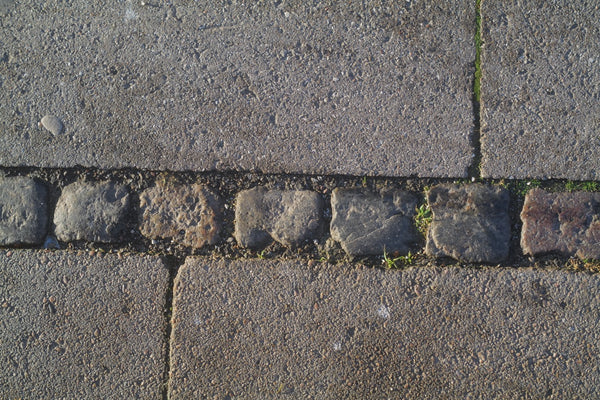 Leica 50mm f2.8 Elmar-M 11612 - Cl'a November 2025