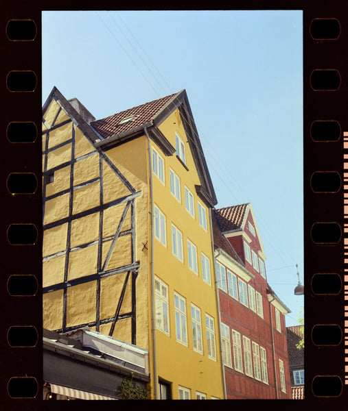Nikon F5 - test shot June 2026