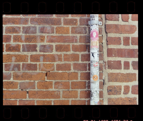Nikon 50mm f1.4 AF Nikkor - test shot June 2026