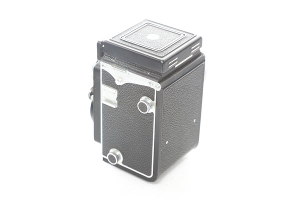 Yashica-D with case