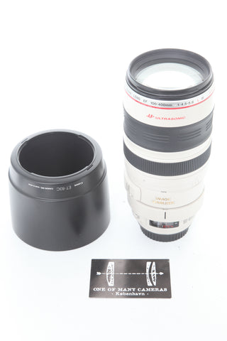 Canon EF 100-400mm f4-5.6 L IS