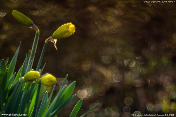 Meyer-Optik Görlitz 100mm f2.8 Trioplan - Exakta mount - cl'a January 2026