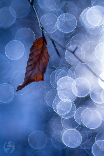 Meyer-Optik Görlitz 100mm f2.8 Trioplan - Exakta mount - cl'a January 2026